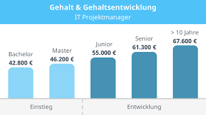 it projekt manager