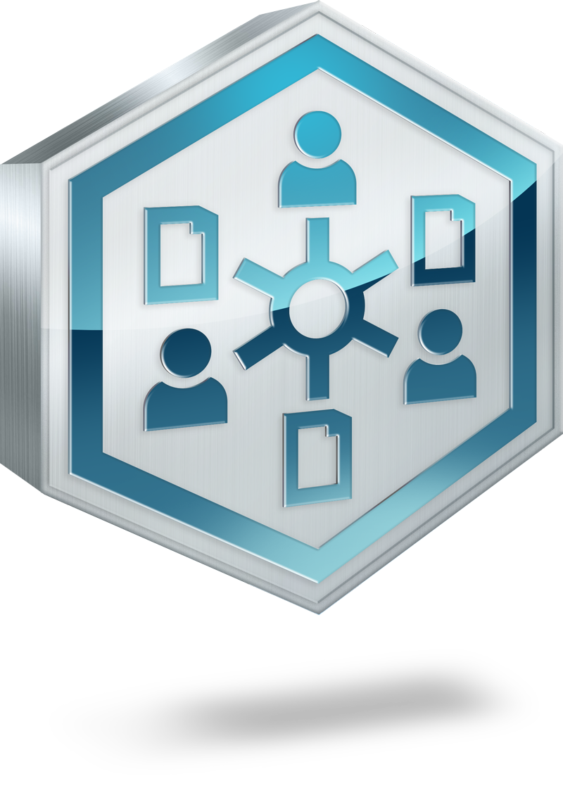 consultant projektmanagement