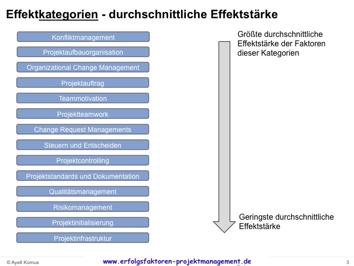 kritische erfolgsfaktoren projekt