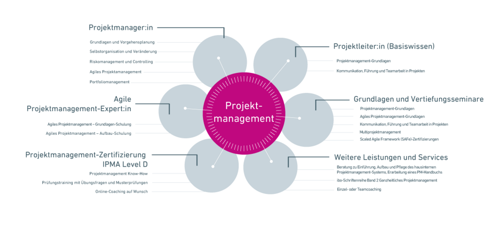 projektmanagement basiswissen
