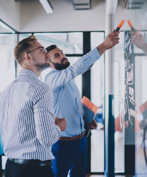 it projektmanagement beratung