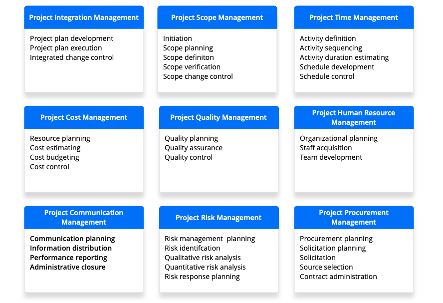 projektsteuerung projektleitung