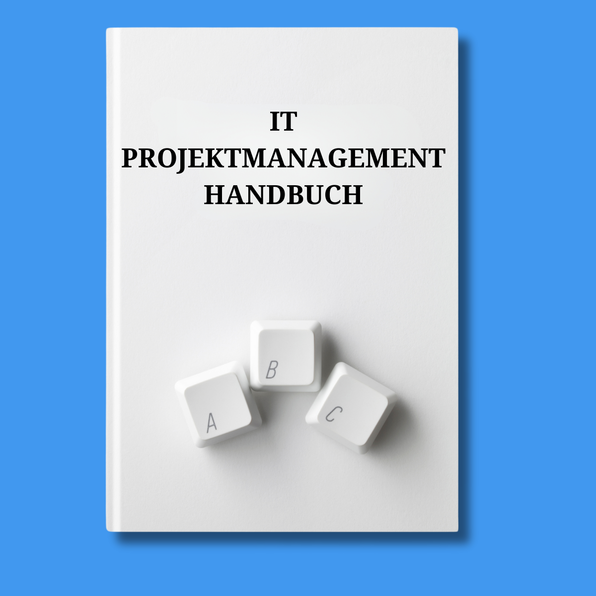handbuch projektmanagement