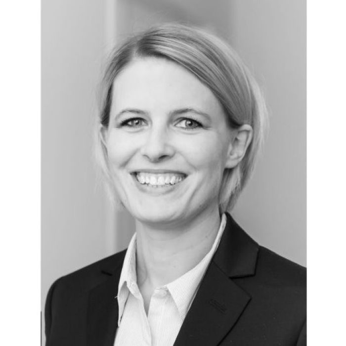 interim projektmanager