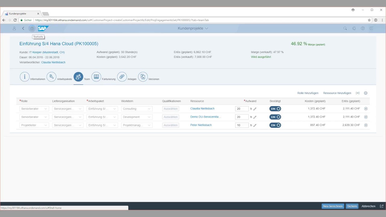 projektmanagement sap