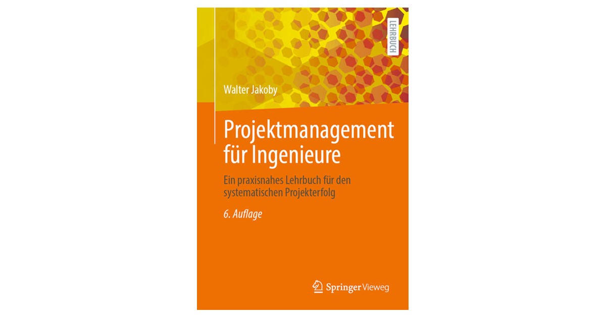 projektmanagement springer