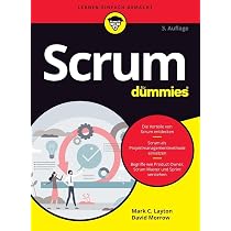 agiles projektmanagement für dummies